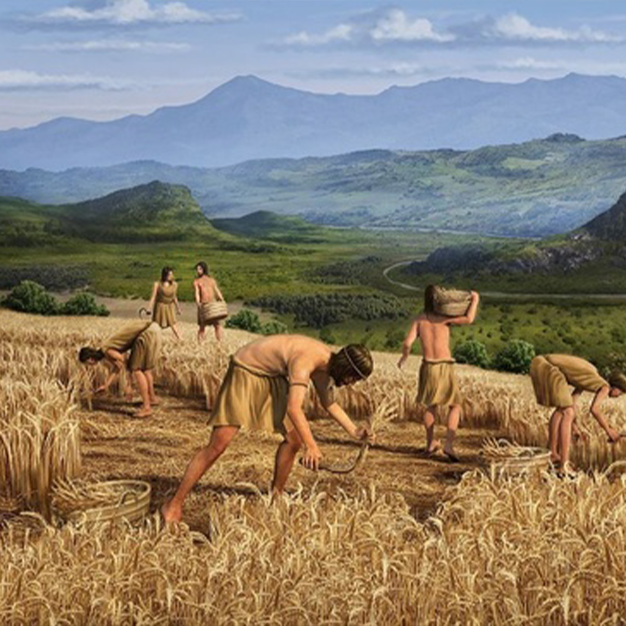 gather food, have place to live